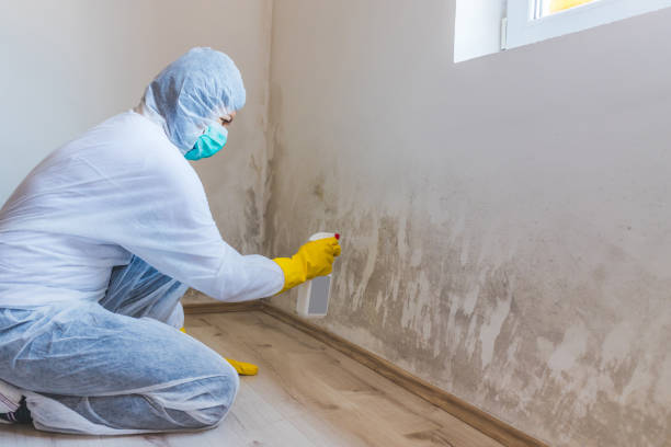 Crawl Space Mold Remediation treatment of floor joists in Dysart